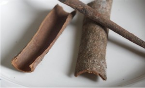 Cinnamon Cinnamon