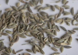 Fennel Seeds Fennel Seeds